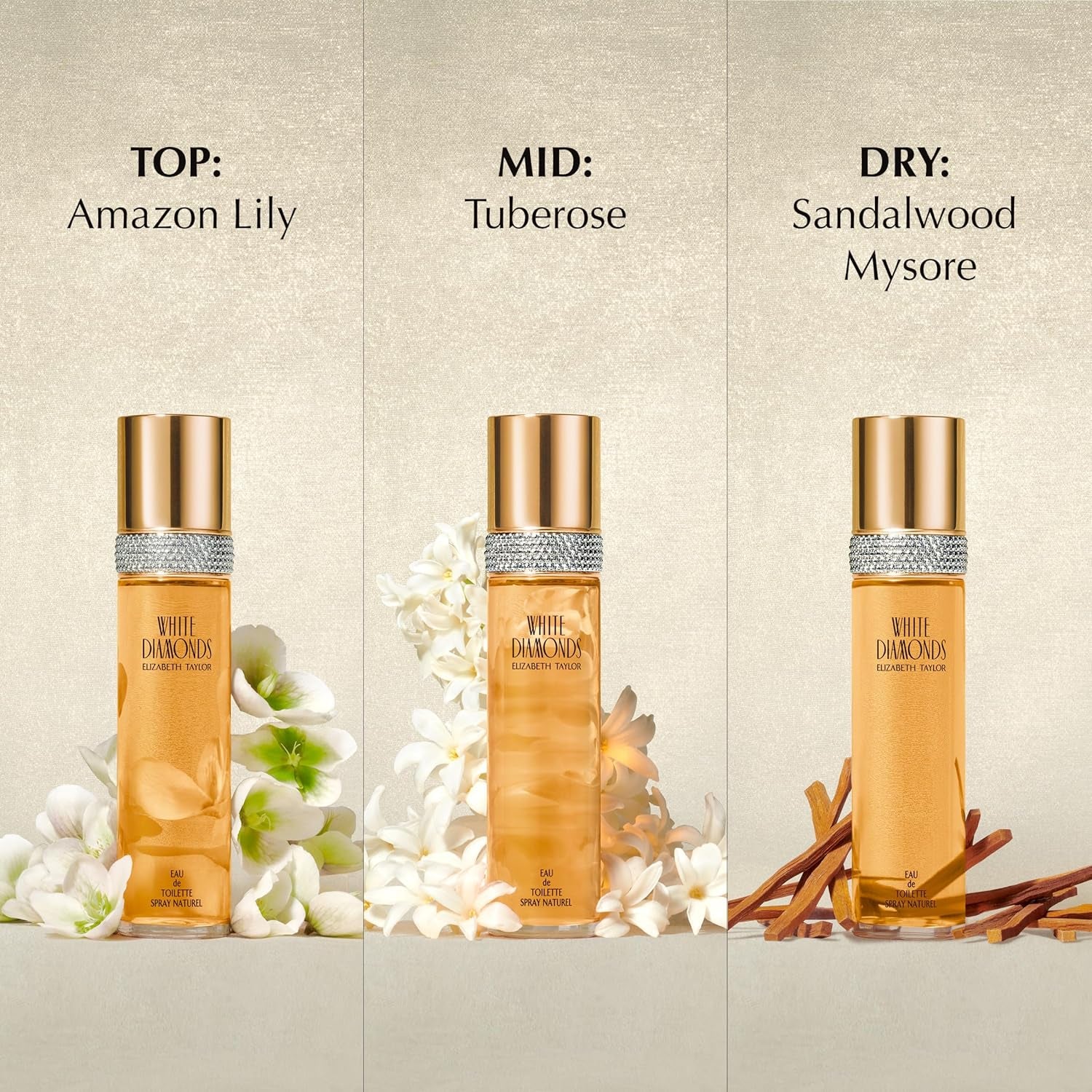 Elizabeth Taylor , Perfume for Women, Daytime Wear Scent, 3.3 Ounce